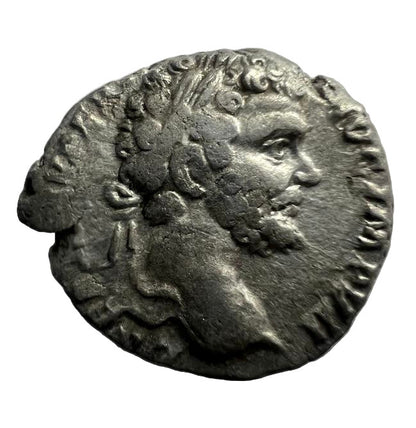 Ancient Roman Silver Coin Denarius Septimius Severus AD 193-211 Rome