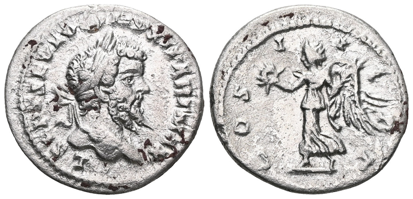 Ancient Roman Silver Coin Denarius Restored (Septimius Severus) + Pouch!
