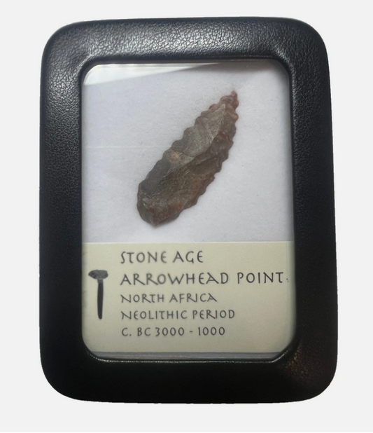 Stone Age Ancient Neolithic Stone Arrowhead in Display Case!