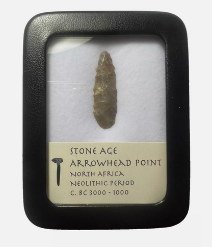 Stone Age Ancient Neolithic Stone Arrowhead in Display Case!