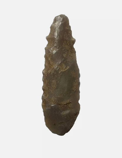 Stone Age Ancient Neolithic Stone Arrowhead in Display Case!