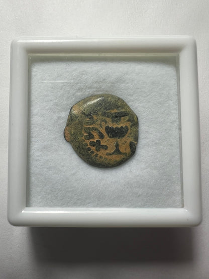 Ancient coin of JUDAEA Jerusalem mint - First Jewish Revolt (66-70 AD). AE prutah + Display Box