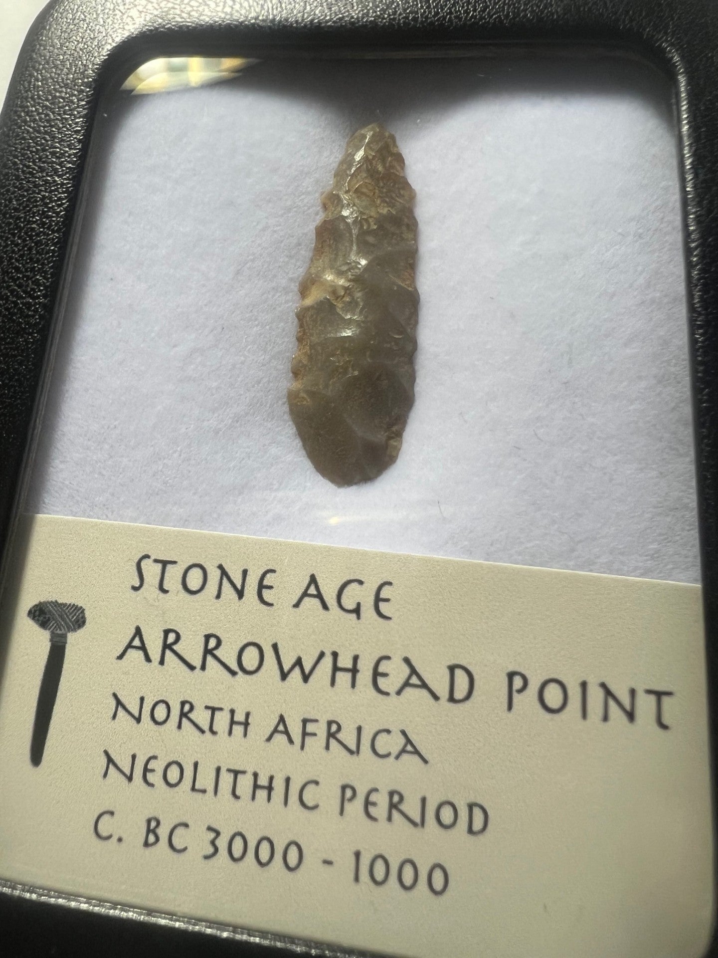 Stone Age Ancient Neolithic Stone Arrowhead in Display Case!