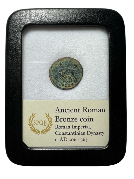 Genuine Ancient Roman Coin In Display Case - Urbs Roma